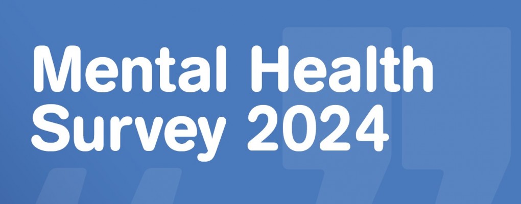 Mental Health Survey 2024